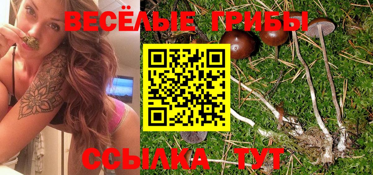 Галлюциногенные грибы GOLDEN TEACHER Нижний Новгород